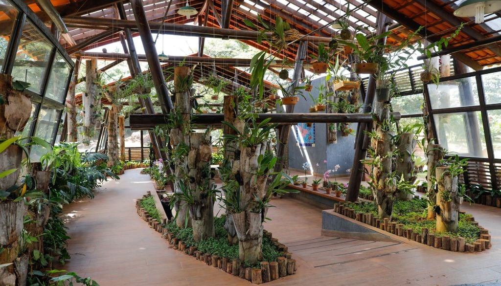 Área interna do orquidário do Jardim Botânico de Brasília. Crédito: Divulgação.