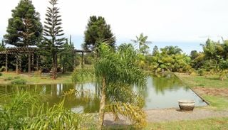 Trilha de 3,5 km cruza o Cerrado at&eacute; nascente em um dos Jardins Bot&acirc;nicos mais preservados do pa&iacute;s; conhe&ccedil;a