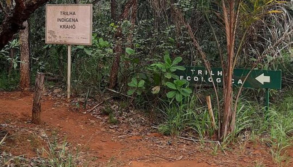 A Trilha Ecológica de 3,5 km, que exibe a transição da flora nativa até a nascente do Córrego Cabeça de Veado. Crédito: Pri Tatagiba/Wikiloc.