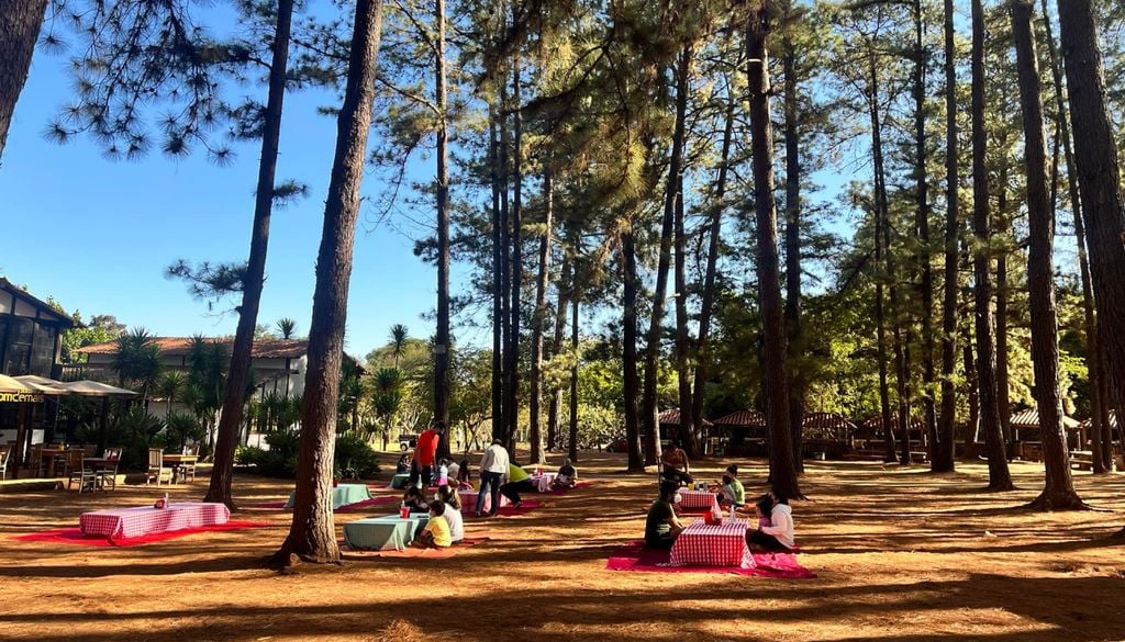 Área de piquenique no Jardim Botânico de Brasília. Crédito: Divulgação.