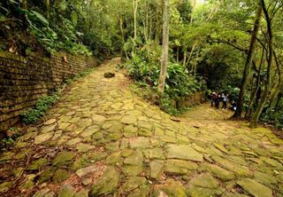 Trilha histórica no litoral de SP: como visitar o Parque Caminhos do Mar e seus monumentos