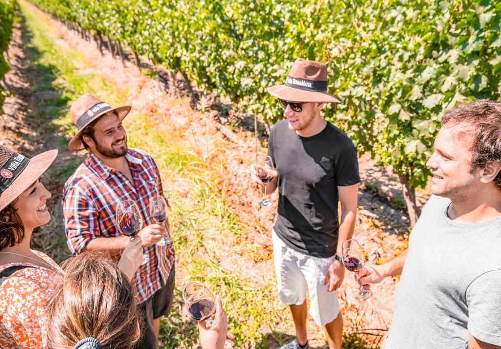 enoturismo enoturismo