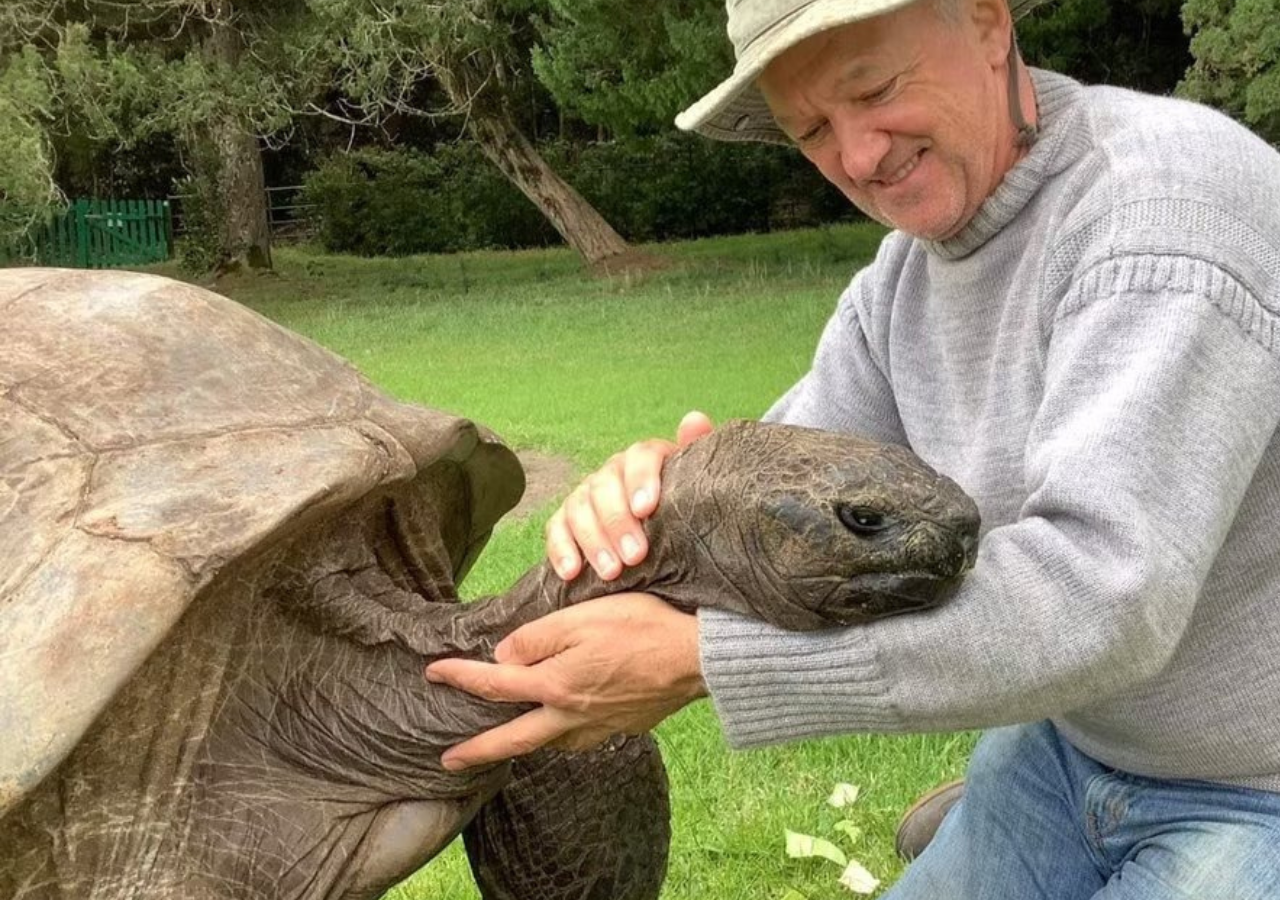 El tortugo gigante Jonathan tiene más de 193 años y es el animal terrestre más longevo. Una noticia falsa sobre su muerte dio que hablar. Foto: X @JoeHollinsVet