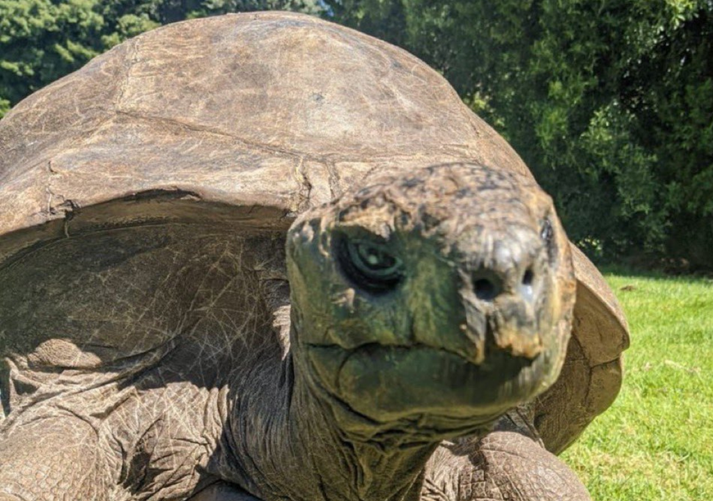 Jonathan nació aproximadamente en 1832, por lo que fue testigo de la creación de la bombilla, el teléfono, la fotografía y la era digital. Foto: X @porqueTTarg