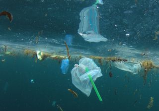 Trump prohíbe el uso de pajitas de papel, un símbolo mundial en la lucha contra la contaminación por plásticos