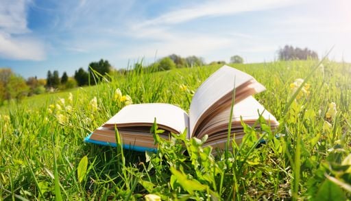 "Tu biblioteca podr&iacute;a convertirse en un atlas de lugares desaparecidos": el cambio clim&aacute;tico tambi&eacute;n cambia los libros