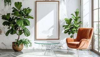 Tu casa puede parecer de revista: plantas de hojas grandes que crean un ambiente tropical
