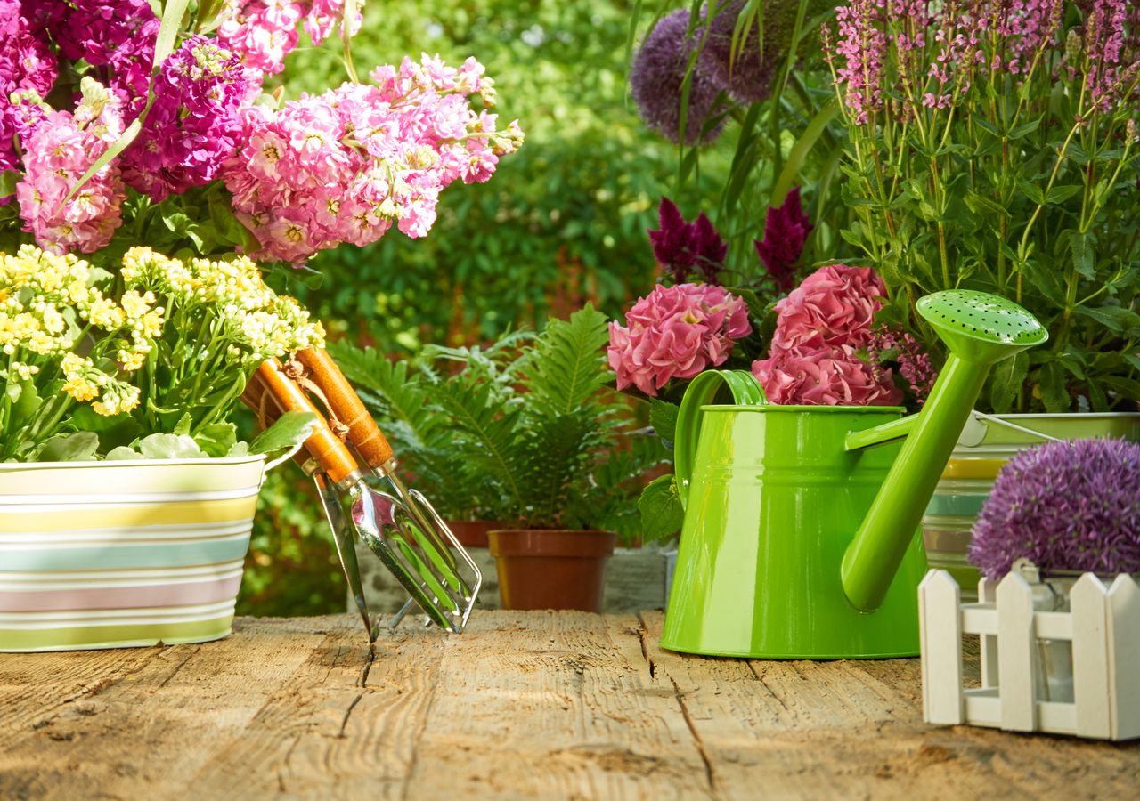 Seleccionando y combinando las especies adecuadas, podrás disfrutar de un jardín aromático todo el año.