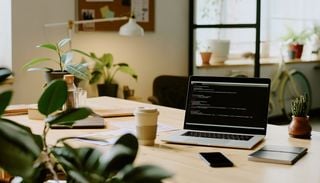&iquest;Tu oficina solo tiene luz artificial? Estas 5 plantas pueden adaptarse mejor al espacio de trabajo