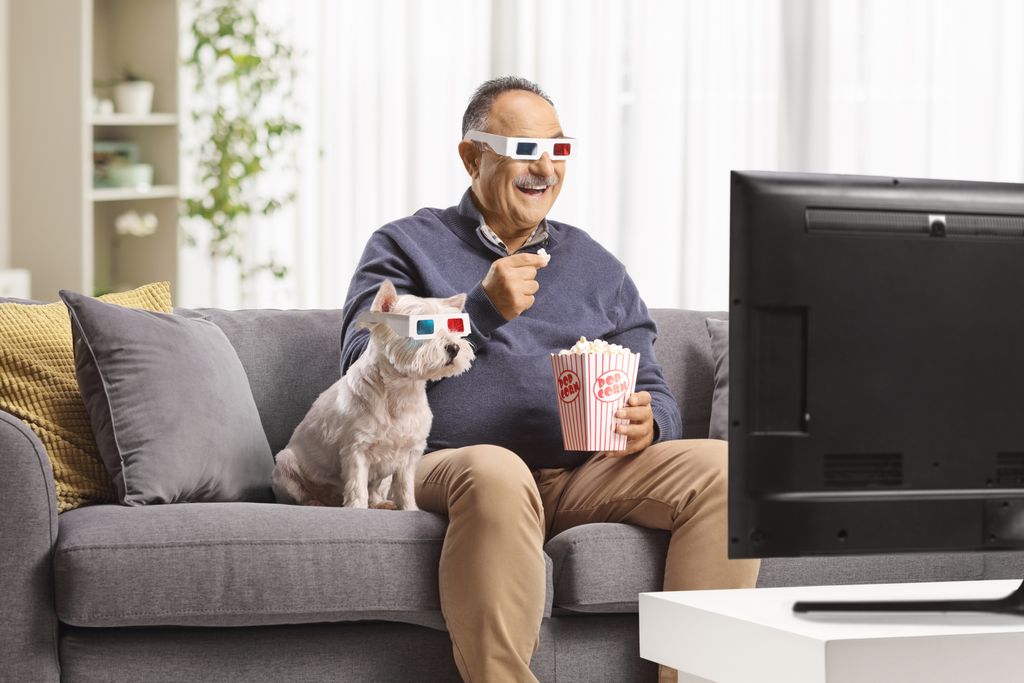 perros que miran televisión