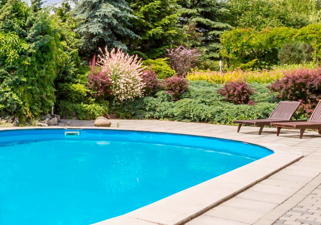 piscina rodeada de vegetación piscina rodeada de vegetación