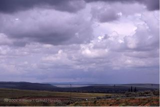 Tuba en las proximidades de Ciudad Real