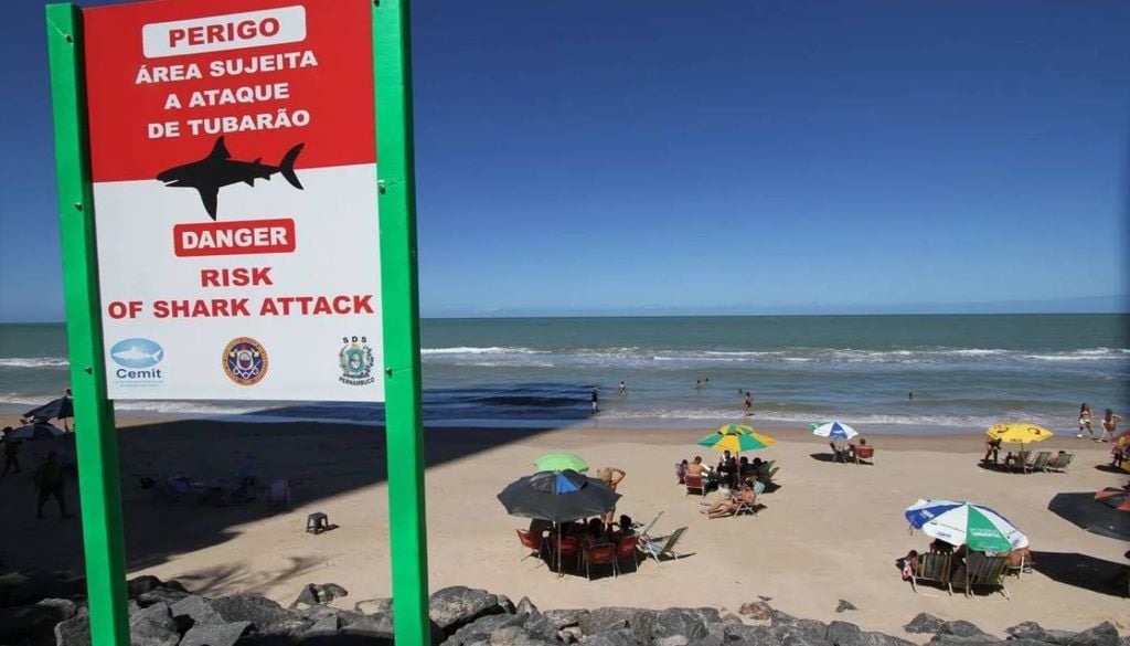 Vítimas de 19 e 11 anos tiveram membros amputados após serem mordidos por tubarões em praias do Grande Recife no domingo (31) e nesta segunda-feira (1º de junho). Crédito: Divulgação.