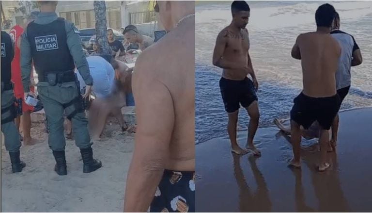 Tubar&atilde;o-tigre e cabe&ccedil;a-chata: entenda o comportamento das esp&eacute;cies por tr&aacute;s do p&acirc;nico em praias de PE