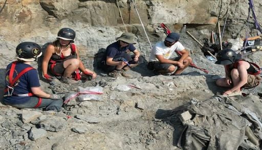 Tudo come&ccedil;ou com um osso. Hoje poder&aacute; ser o dinossauro mais completo encontrado em Portugal