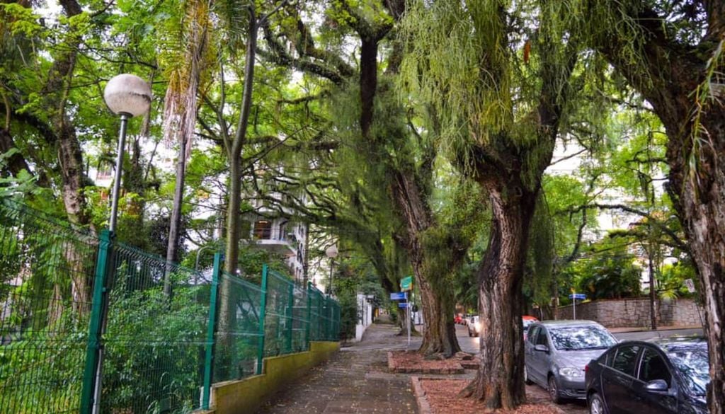 A Rua Gonçalo de Carvalho foi apelidada de "a rua mais bonita do mundo" por um biólogo português. Crédito: @rafah.meireles