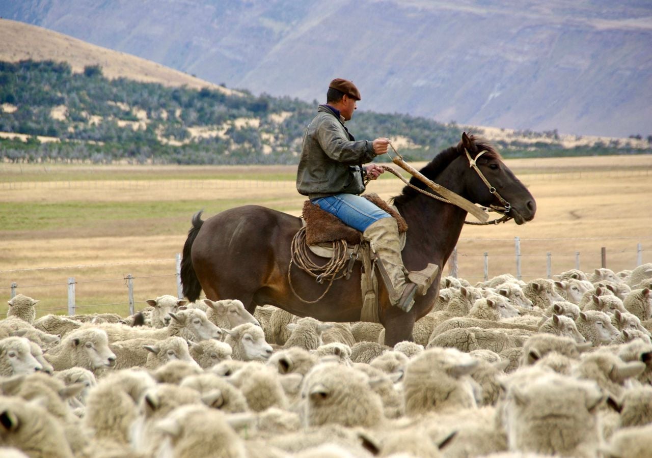 El turismo en estancias permite conocer las tradiciones de la Patagonia chilena.
