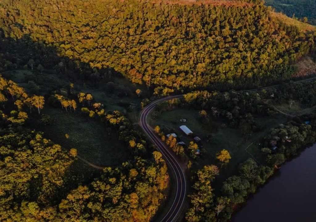 La Selva Misionera es es una de las áreas de mayor biodiversidad de Argentina.