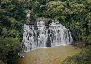 Turismo en Iguazú: más allá de las Cataratas, estos son los secretos imperdibles de la selva misionera