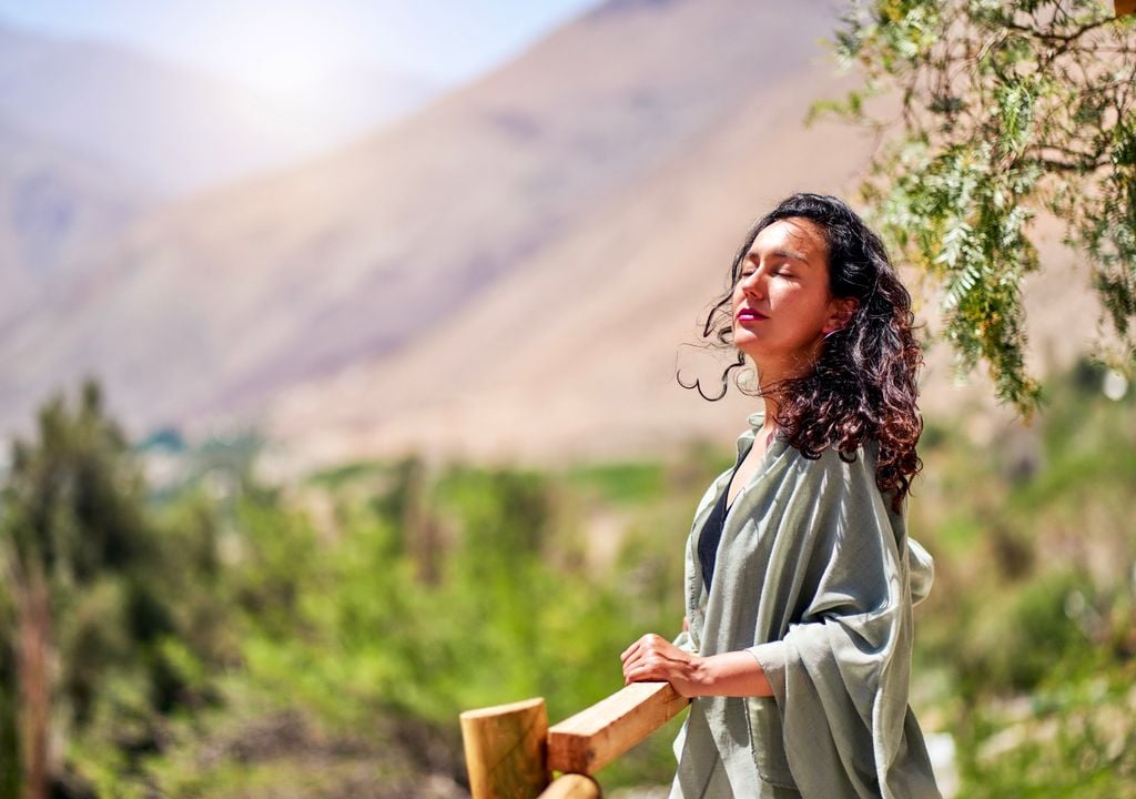 Meditación en el Valle del Elqui Meditación en el Valle del Elqui