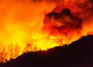 Turquie : des milliers de sans-abris suite aux incendies de forêt