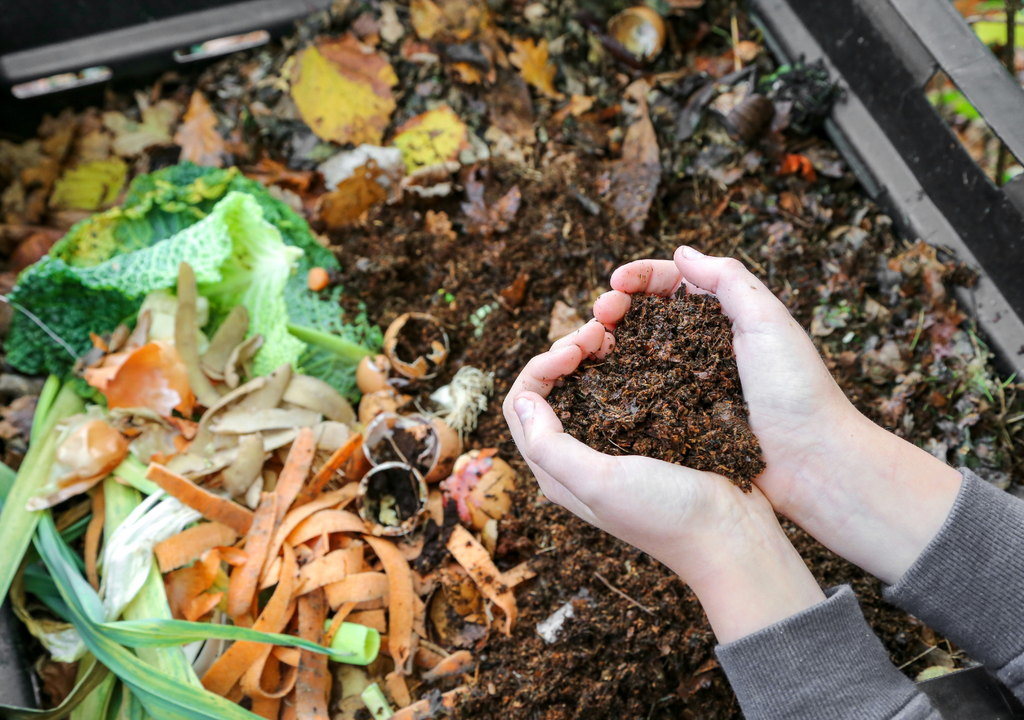 Compost Como elaborar compost, el material hecho con residuos orgánicos que mejora la nutrición de plantas, huertas y jardines.