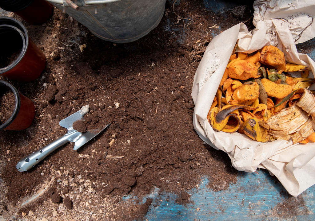 Compost Restos de frutas y verduras, cáscaras de huevo, hojas secas y aserrín son elementos indispensables y que no pueden faltar para elaborar compost.