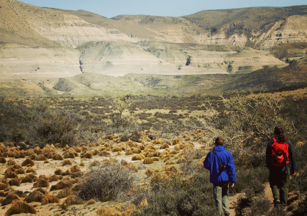 Parque Nacional Monte León El área natural protegida combina sectores de estepa con ambientes costeros y espacios vinculados al mar. Foto: X @ProbaPatagonia