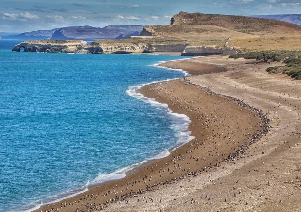Parque Nacional Monte León El Parque Nacional Monte León (Santa Cruz) cuenta con 62.000 hectáreas y 30 kilómetros de costa donde coexisten ambientes marinos y terrestres. Foto: X @argentinapatago