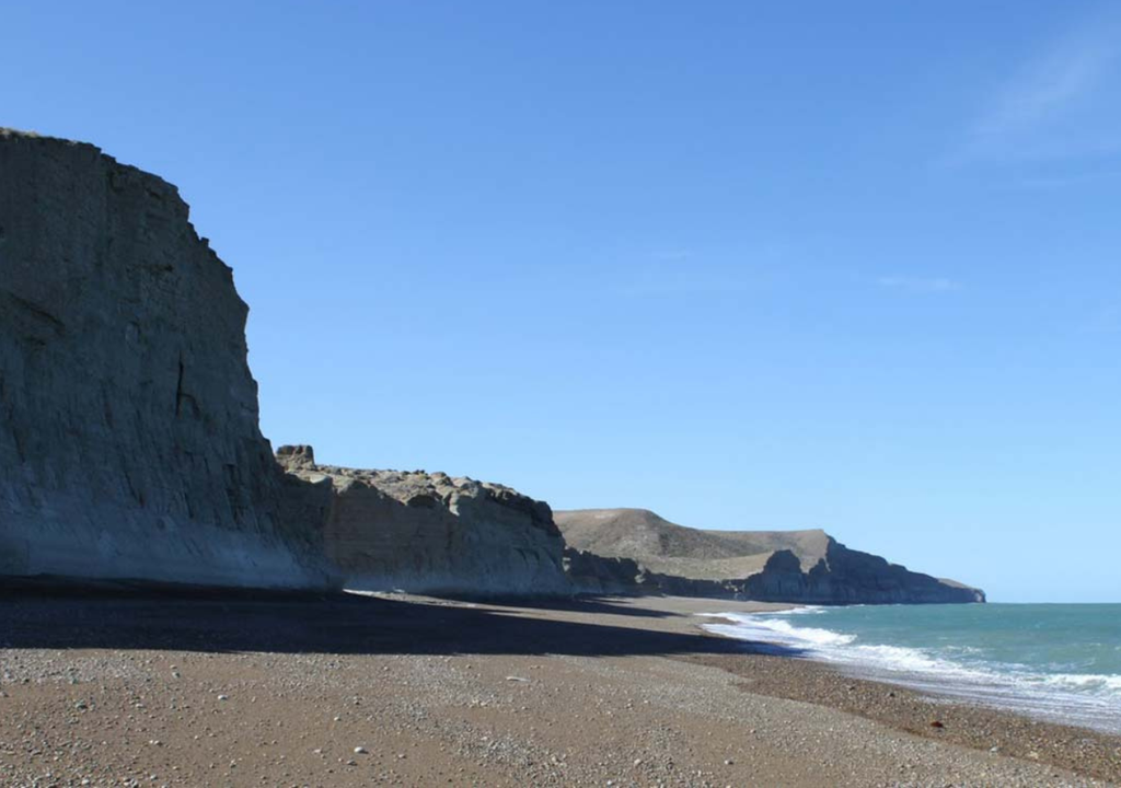 Parque Nacional Monte León En el Parque Nacional Monte León se han registrado, hasta el momento, 134 especies de aves y 28 especies de mamíferos. Foto: X @argentinapatago