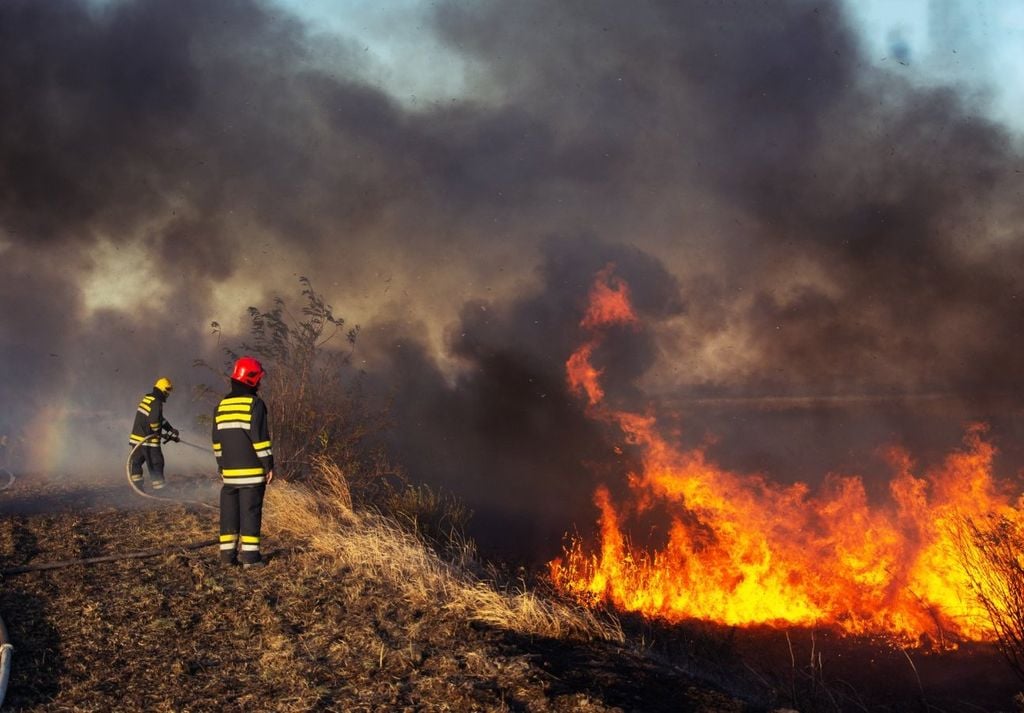 Massive wildfires destroyed nearly 10,000 structures in southern California this week.