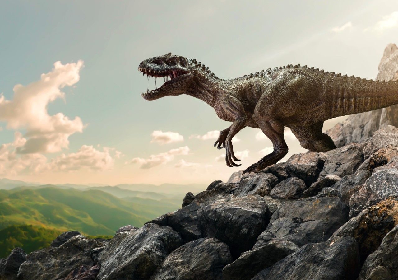 Paleontología: existieron al menos tres tipos de Tyrannosaurus Rex
