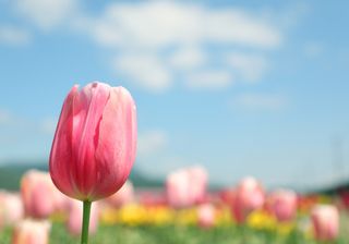 Über 20 Grad: Hitze-Hammer am kommenden Wochenende!