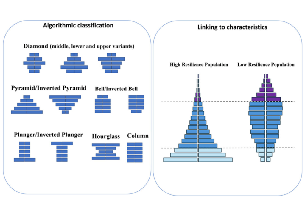 Links: verschiedene Typen von Alterspyramiden (Pyramide, Diamant, Säule). Rechts: Eigenschaften (sehr widerstandsfähig, wenig widerstandsfähig). Links: verschiedene Typen von Alterspyramiden (Pyramide, Diamant, Säule). Rechts: Eigenschaften (sehr widerstandsfähig, wenig widerstandsfähig). Bild: Hahn-Klimroth et al., 2025
