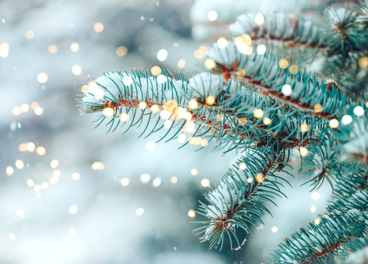 Wie hoch ist die Wahrscheinlichkeit für weiße Weihnachten in deutschen Städten? Wir sagen es Euch!
