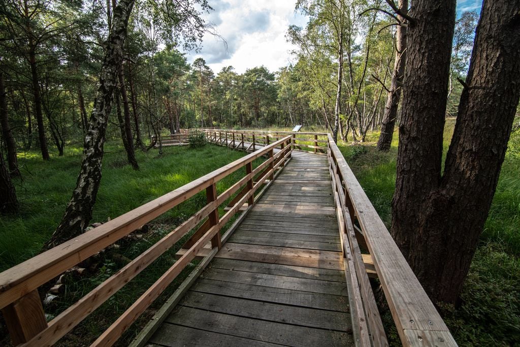 Solide Stege erschließen den Weg in die Naturlandschaft bei Hannover. Foto: Adobe Stock