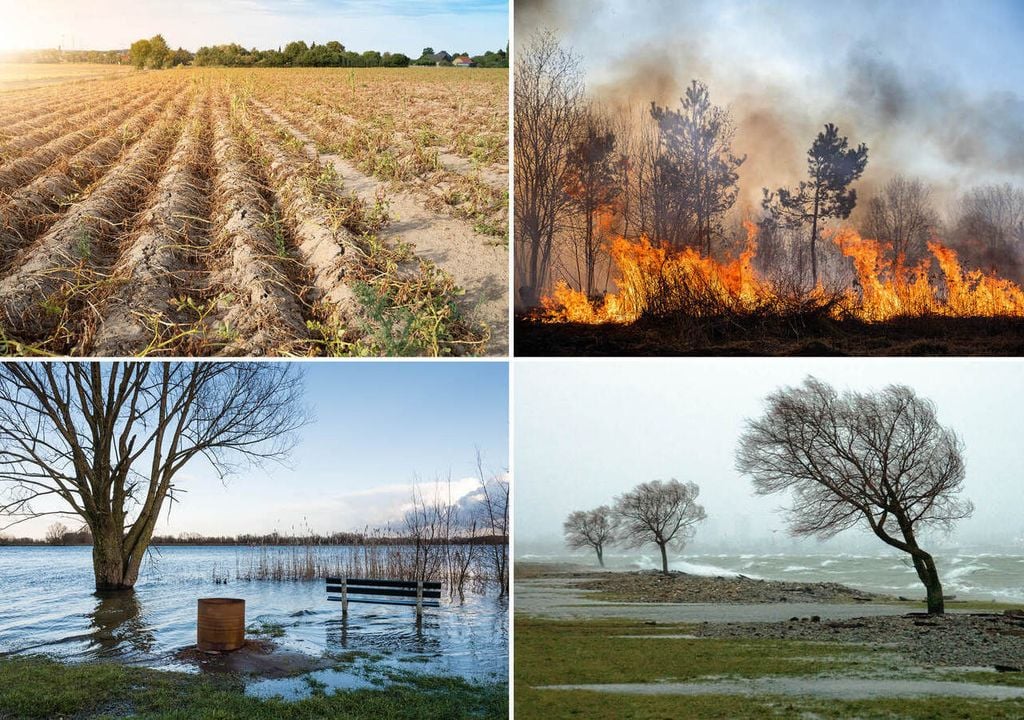 Wasserbedingte Katastrophen reichen von Dürre und Trockenheit bis hin zu Überschwemmungen. Bild: TU Wien/Esser, Löb, Morijn, Brodski