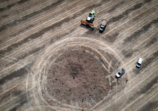 Ukraine: wheat harvest larger than expected, despite ongoing war