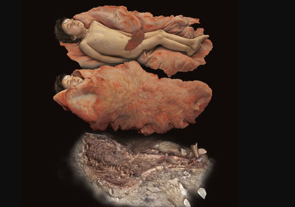 O que torna a criança de Lapedo extraordinária é ser fruto da união de duas espécies humanas diferentes. Foto: Nuno Farinha, Museu de Leiria