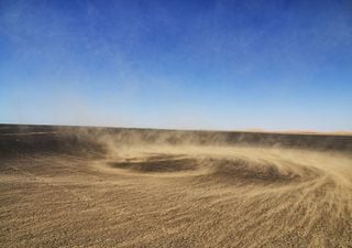 Überraschender Booster für Ozeanleben: Saharastaub befeuert Phytoplankton und könnte das Klima retten!