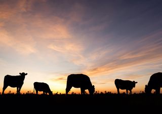 UK farming to face climate change challenges