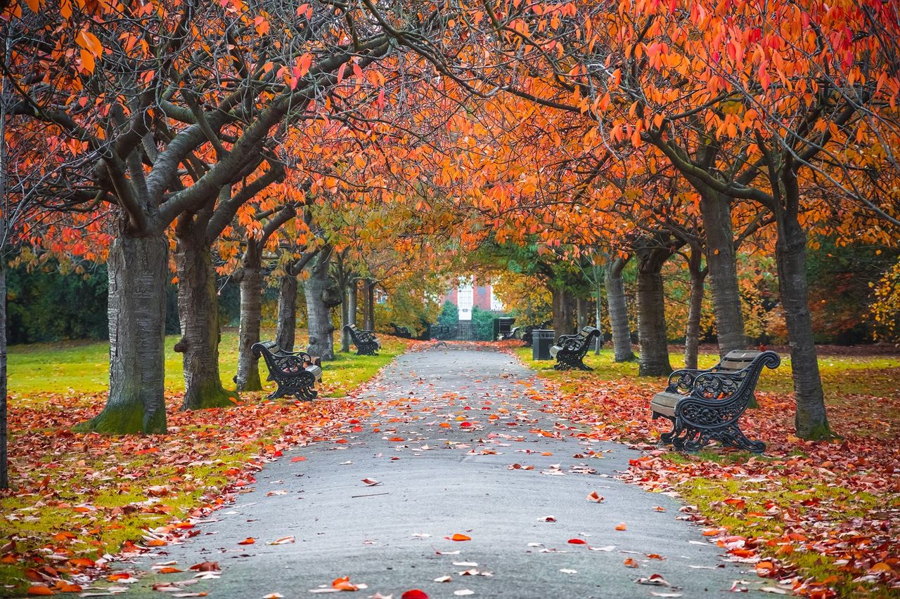 The weather outlook for October snow and heavy rain forecast