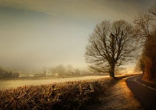 UK weather forecast: Calm or snow and winds up to New Year?