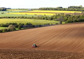 UK farm tree planting policy for net zero should be rethought, experts in Exeter urge