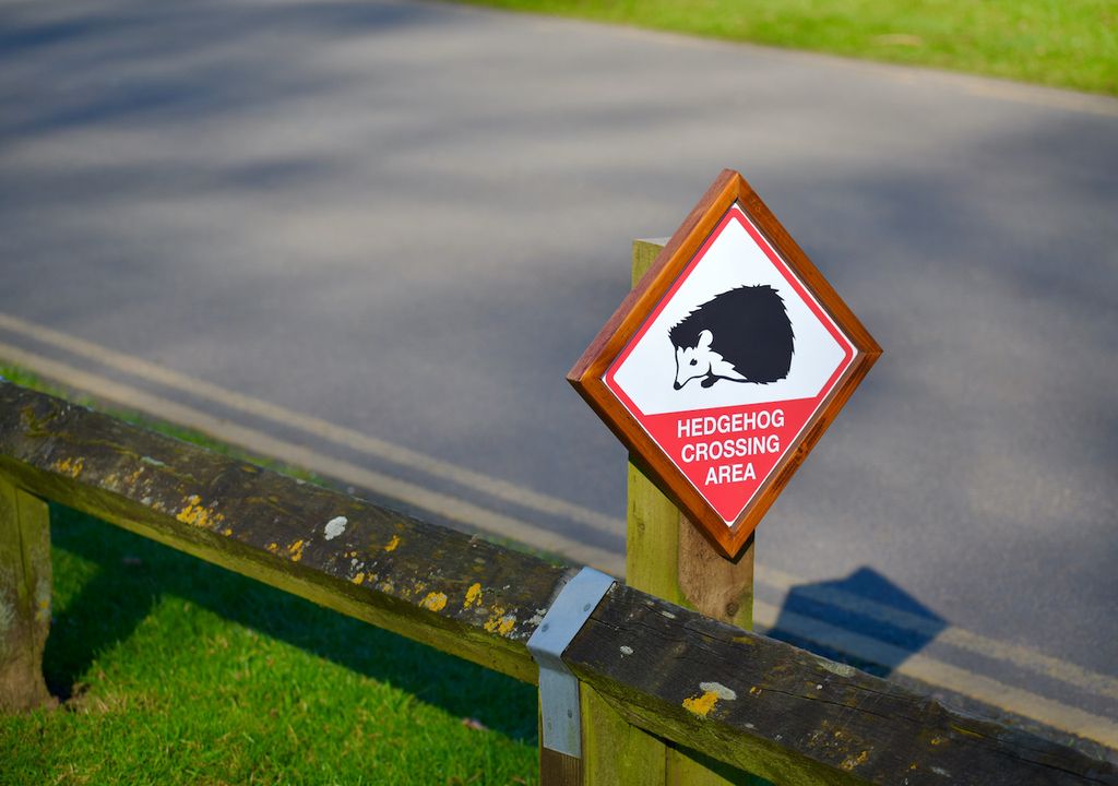 An example of a "wildlife friendly" community project is in Coventry, England with a hedgehog crossing area.