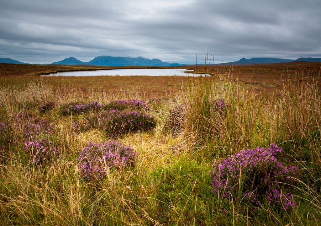 The Flow Country in Northern Scotland is at risk from climate change