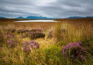 UK peatlands face uncertain future due to climate change