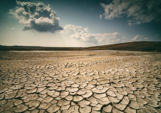 UK records hottest temperature ever, hitting 40℃​ for first time