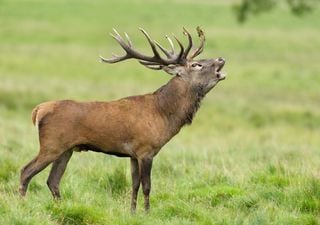 UK's changing weather patterns causing chaos for nature, National Trust warn