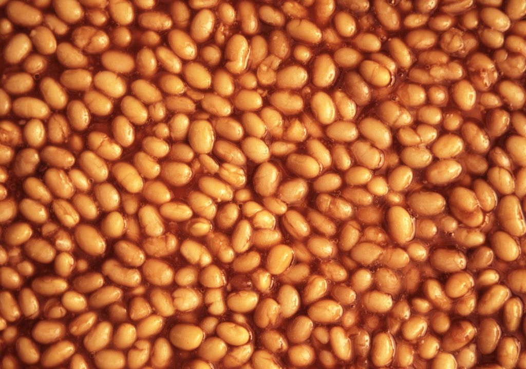 UK’s first Baked Bean farm hit by severe rain and flooding